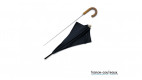 Parapluie canne épée noir