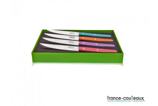 Coffret 4 couteaux de table  Laguiole "NEO" G. DAVID- coloris assortis