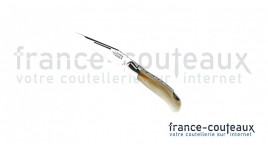 Couteau de chasse laguiole G. David avec manche en corne