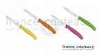 Couteau office Victorinox lame 10 cm couleur aux choix