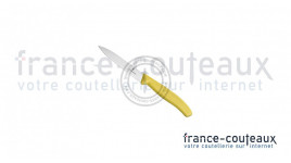 Couteau office Victorinox lame 10 cm couleur aux choix