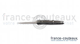 Dague fantaisie Dragon Tail Blade 