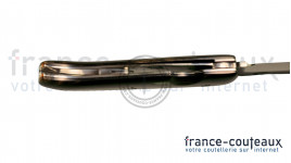 Poing américain Piranha Power bronze
